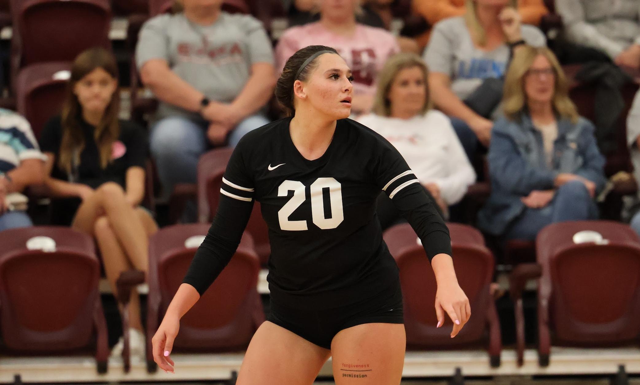 Volleyball Falls at Concordia Chicago